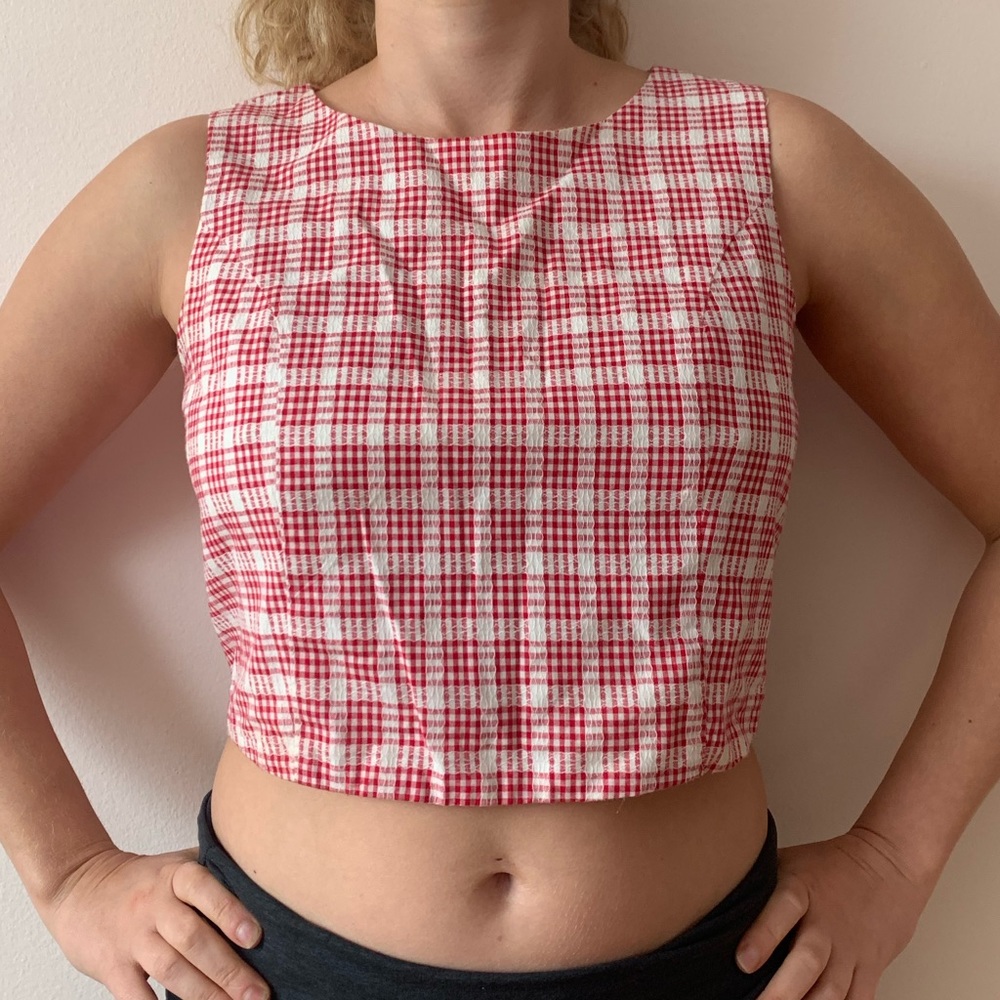 Francesca’s crop top